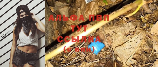 соль ск Алзамай