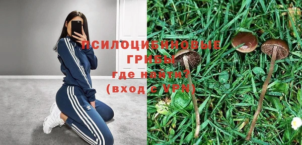 гидропоника Абаза