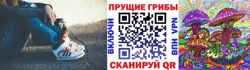 OMG вход  нарко площадка состав  Мещовск  Псилоцибиновые грибы прущие грибы  где можно купить наркотик 